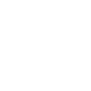 Category Icon