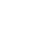 Category Icon