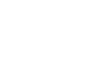 Category Icon