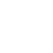 Category Icon